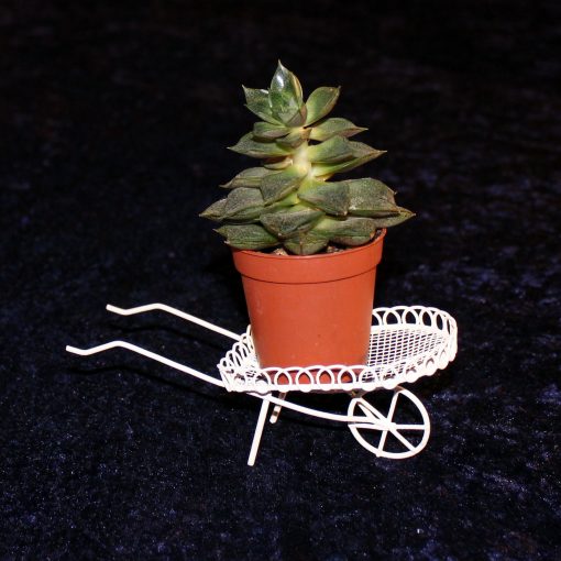 Wichtelzubehör, Mini-Garten Schubkarre, Pflanzgefäß, weiß, Wichtel, Minigarten, Deko, Miniatur, Gartenmöbel, Metall – Bild 2